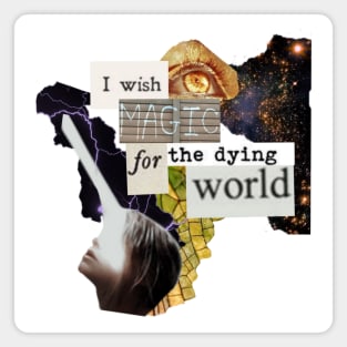 I Wish Magic for the Dying World Magnet